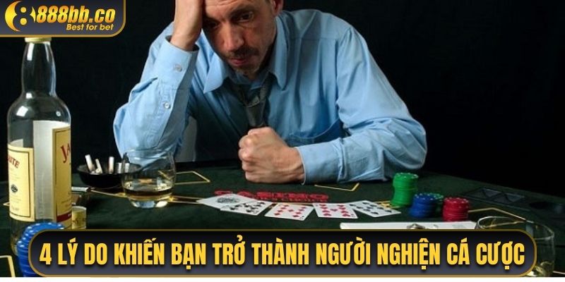 4 Lý Do Kiến Bạn Trở Thành Người Nghiện Cá Cược