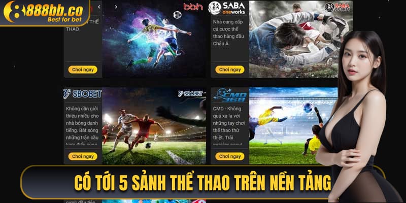 Có Tới 5 Sảnh Thể Thao Trên Nền Tảng