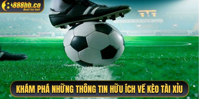 Khám Phá Những Thông Tin Hữu Ích Về Kèo Tài Xỉu