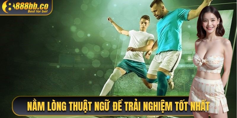 Nằm Lòng Thuật Ngữ Để Trải Nghiệm Tốt Nhất