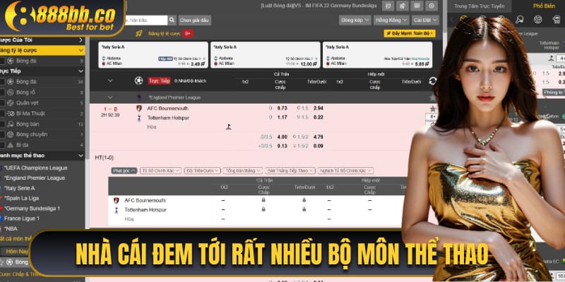 Nhà Cái Đem Tới Rất Nhiều Bộ Môn Thể Thao